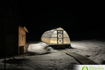 A Nurturing Environment for Growing Vegetables at 8,850 Feet
