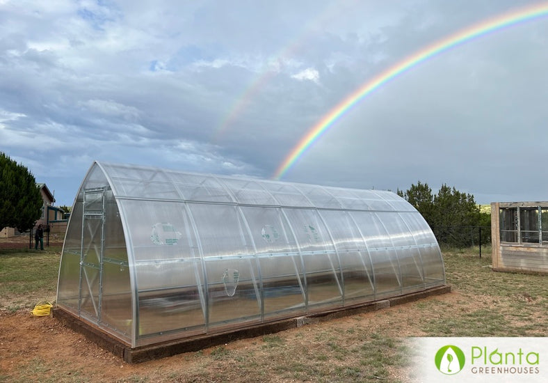 Considering buying a second greenhouse!