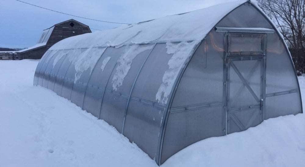 This 32' Sungrow model is exactly what we were looking for in a greenhouse