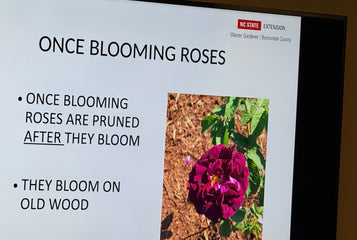 Perfect for Mountain Gardening in Western North Carolina