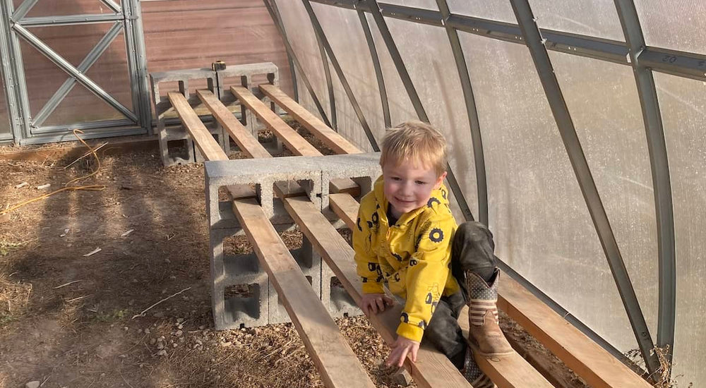 Growing a Thriving Backyard Nursery with the Sungrow 20