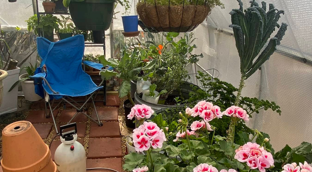Fresh Vegetables and Blooming Orchids All Winter Long