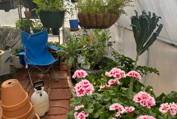 Fresh Vegetables and Blooming Orchids All Winter Long