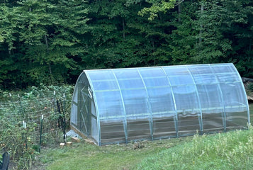 Healthier Plants and Bigger Harvests with the Sungrow 20