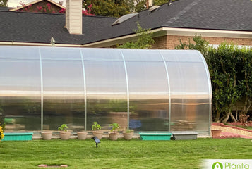 I enjoy watching Netflix inside the greenhouse during fall