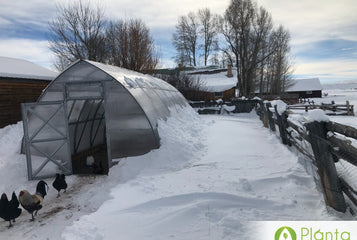 This greenhouse is great for a location with harsh conditions