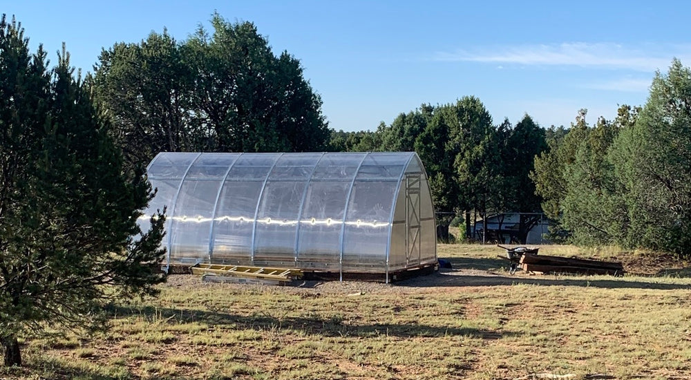 Everybody loves my greenhouse