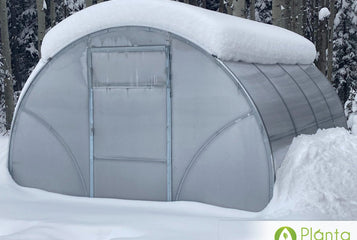 The greenhouse stays considerably warmer than the outside air