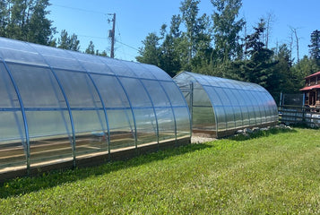We spend lots of time in both of our greenhouses