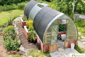 High vs Low Humidity in Greenhouses: What Plants Really Need