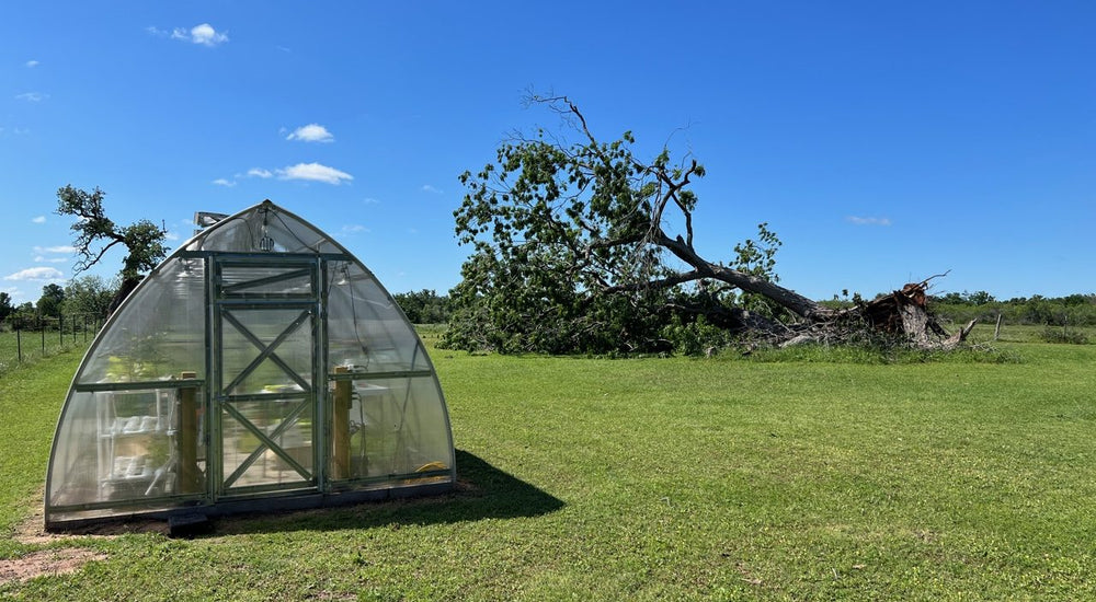 My Greenhouse Survived a small tornado!