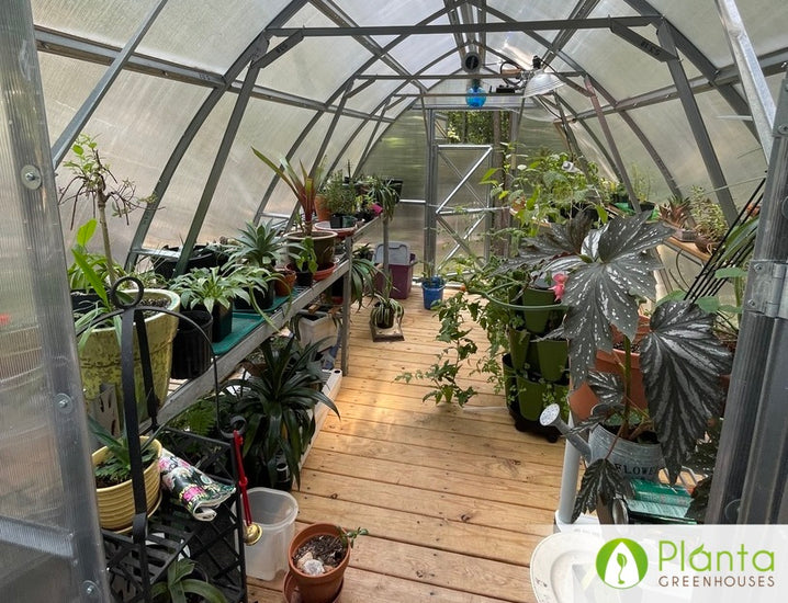 The greenhouse of our dreams