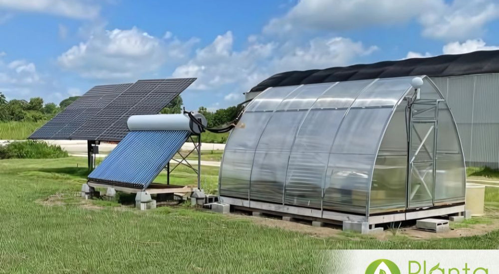 Solar Drying Chamber for Scientific Research