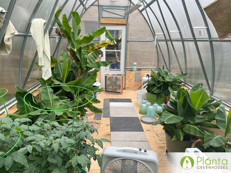 P8_-_Inside-B_800x600.jpg?v=