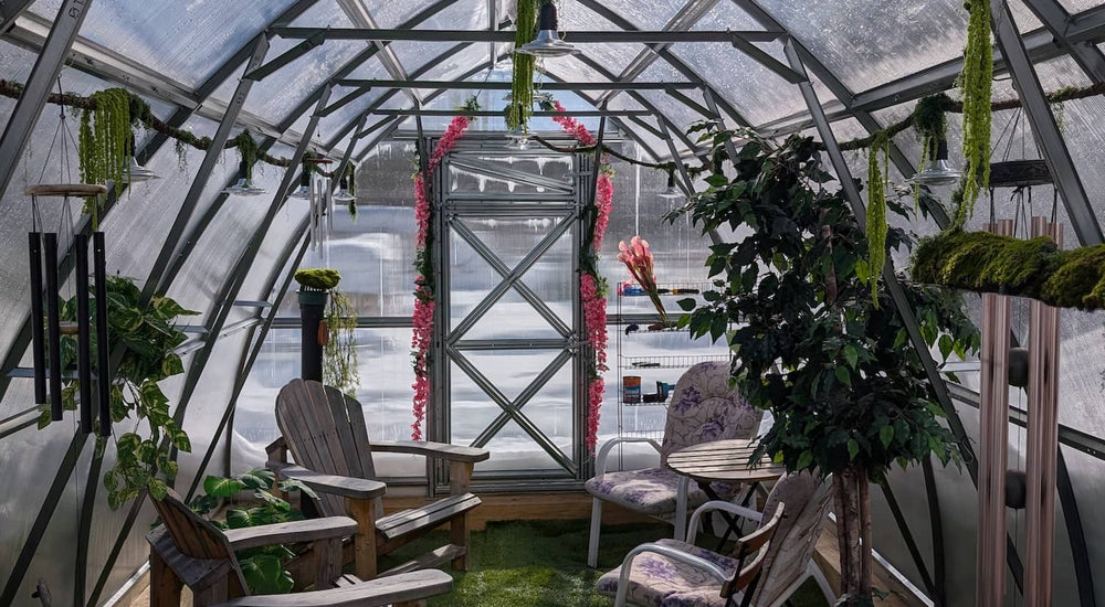 A Cozy Winter Escape with the Sigma 20