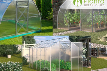 How Do Planta Greenhouses Compare?