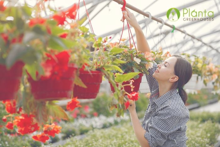 The Benefits of a Planta Farmer Greenhouse | Commercial Greenhouses for Sale Canada
