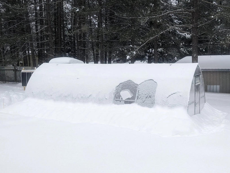 How to Prepare Your Greenhouse for Winter: A Complete Step-by-Step Guide