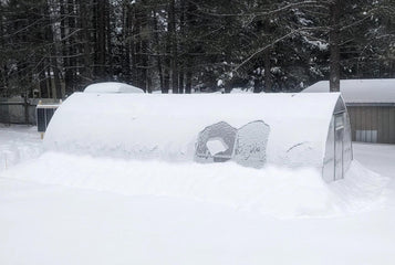 How to Prepare Your Greenhouse for Winter: A Complete Step-by-Step Guide