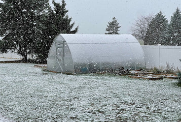 Jardinage en hiver : conseils pour réussir ses semis