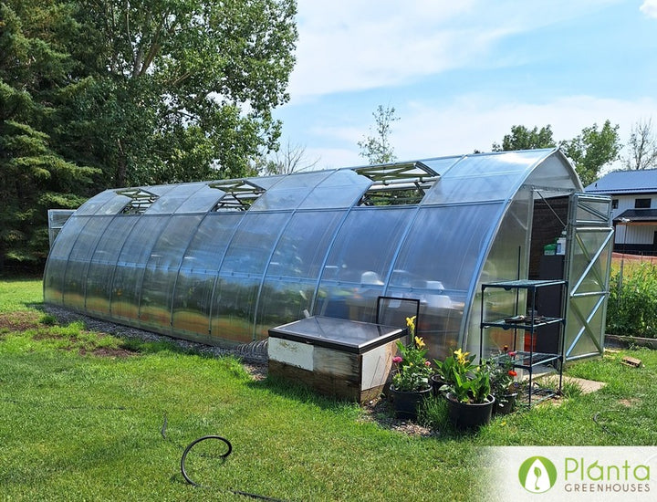 Properly ventilated Planta greenhouse