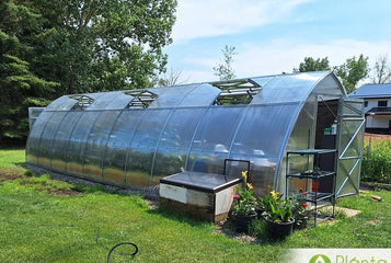 Common Greenhouse Ventilation Mistakes That Stress Plants (And How to Fix Them)
