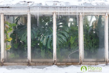 How to Get the Most Out of Your Greenhouse This Winter | Commercial Greenhouse Manufacturer