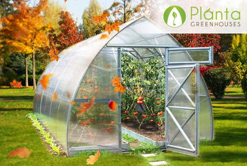How to Prepare Your Greenhouse For The Fall