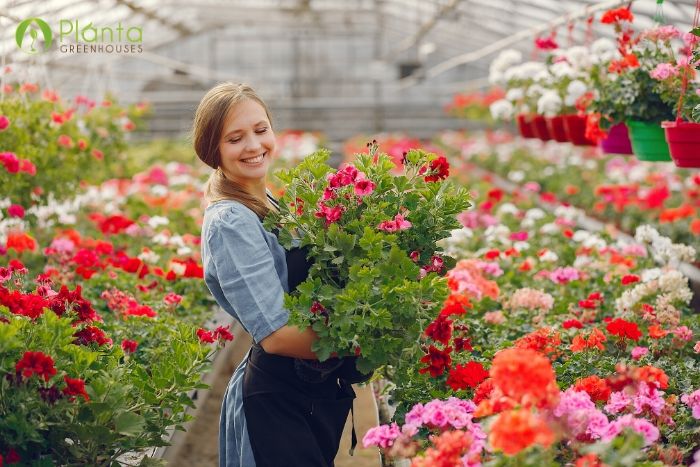 The Best Urban Greenhouses for Your Backyard | Commercial Greenhouse Manufacturers Canada