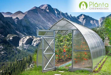 How To Grow a Thriving Greenhouse In Colorado Climate (High Altitude Weather Gardening)