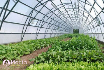 Commercial Greenhouse Buying Guide: What You Must Know | Commercial Greenhouse Manufacturers, Canada