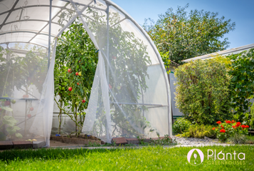 Summer Greenhouse Growing Tips and Tricks | Commercial Greenhouse Manufacturers, Canada