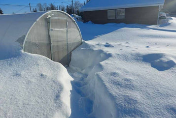 Conseils de jardinage d'hiver en serre de nos clients d'Alaska