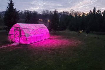 Comparing LED and Traditional Grow Lights for Your Greenhouse