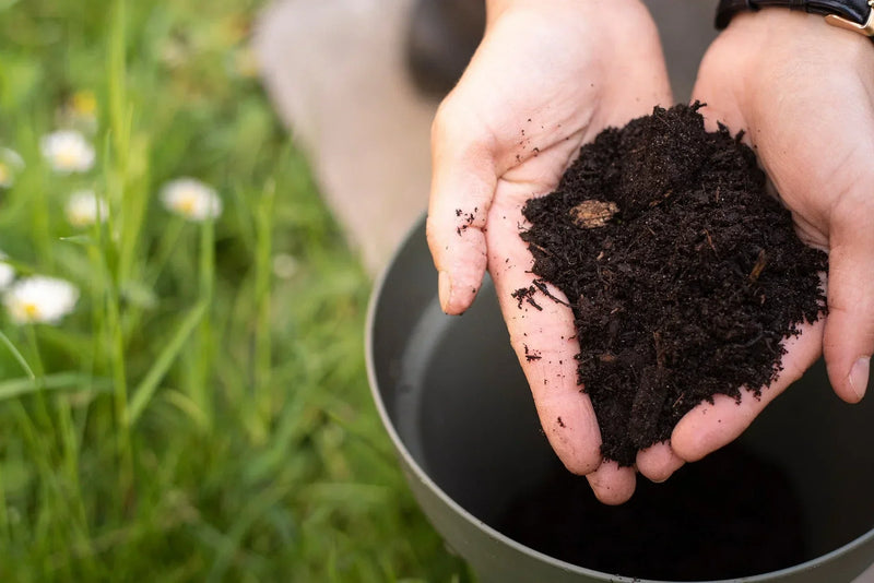 Gardener preparing soil for a greenhouse in winter