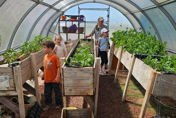 STEM Greenhouse Program: Teaching Kids About Sustainability with Greenhouses