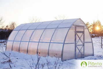 The Post-Winter Report: How To Restore Your Greenhouse for Spring