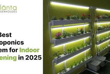 The Best Hydroponics System for Indoor Gardening in 2025