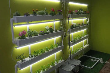 The Best Hydroponics System for Indoor Gardening in 2025