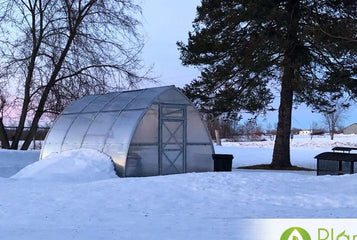 8 Common Greenhouse Gardening Mistakes to Avoid in Winter