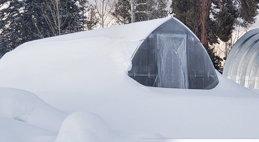 The frame has handled the snow load without a problem