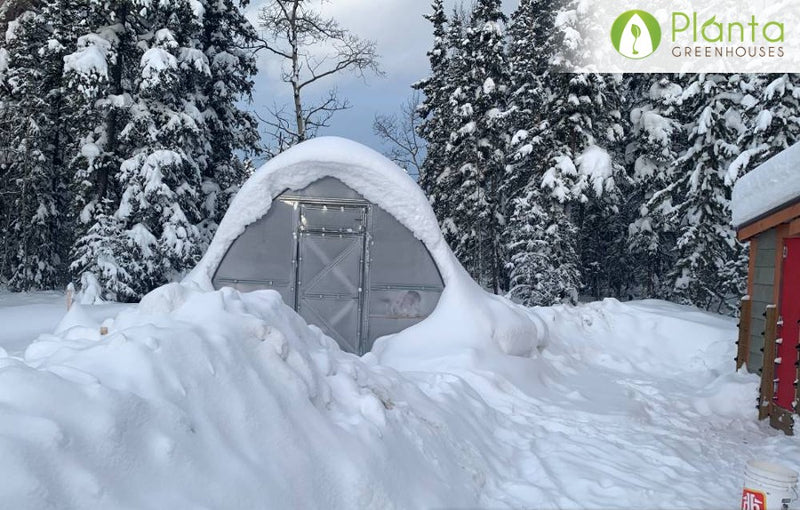 9 Reasons Why a Planta Greenhouse is Perfect for Snowy Winters