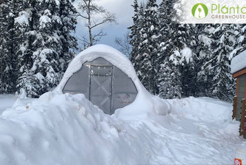 9 Reasons Why a Planta Greenhouse is Perfect for Snowy Winters
