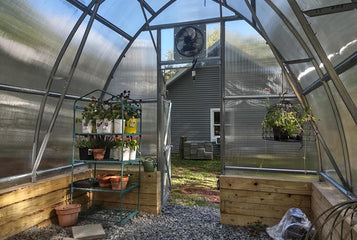 A Relaxing Backyard Greenhouse Filled with Flowers