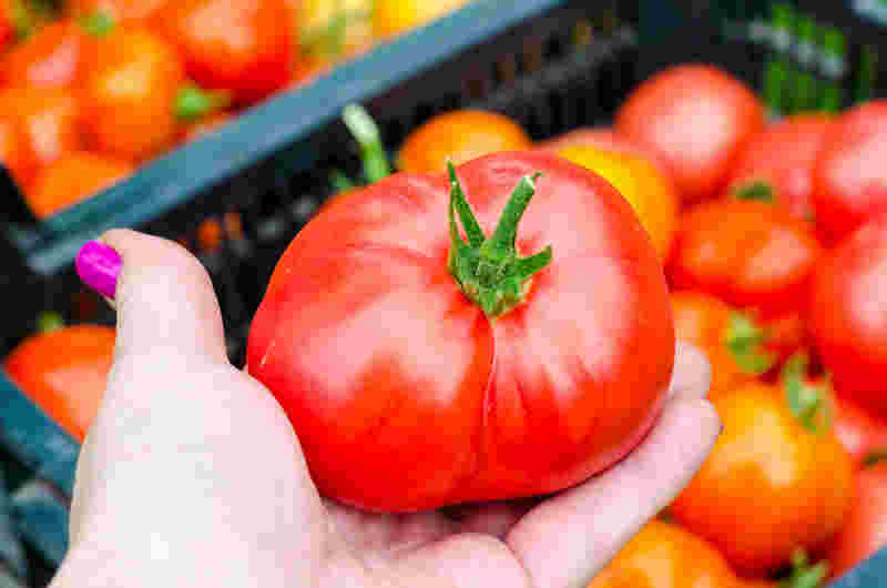 What To Consider Before Choosing a Greenhouse
