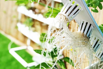 6 Steps To Follow If You Want To Include a Hydroponic System in Your Greenhouse