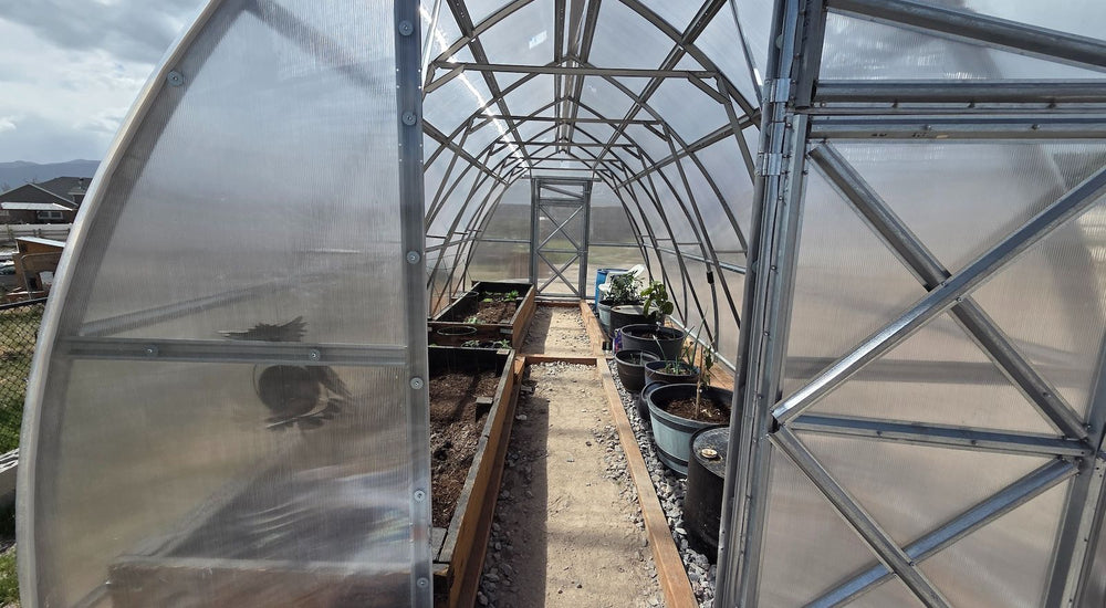 Growing Citrus, Figs, and Melons Beyond Utah’s Growing Zone