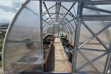 Growing Citrus, Figs, and Melons Beyond Utah’s Growing Zone