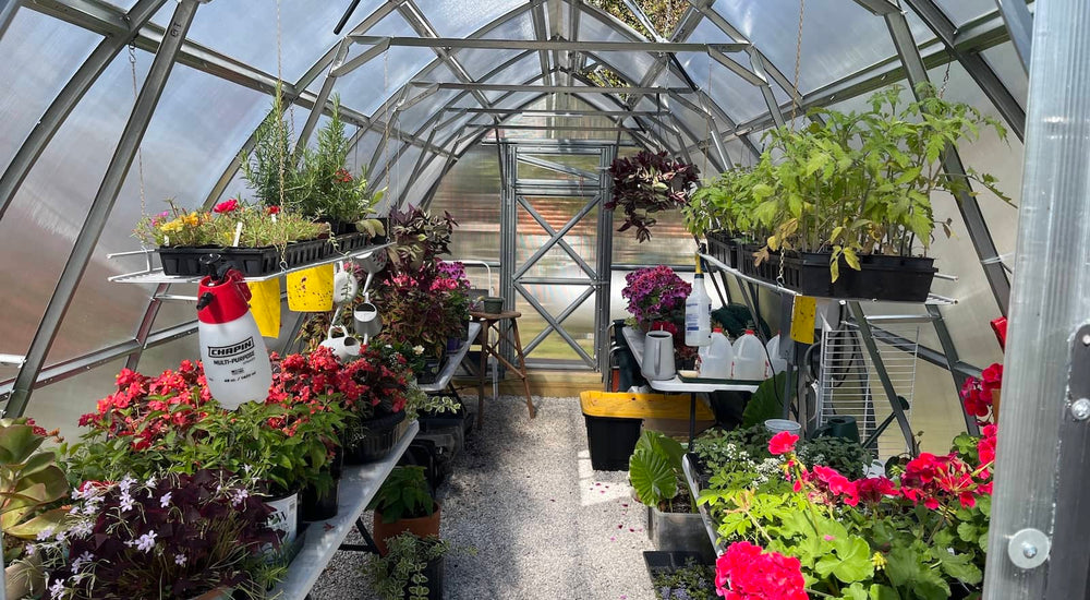 Growing Seedlings All Winter with the Sungrow 20 Greenhouse