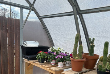 Our Greenhouse Stands Strong Against Wind and Hail